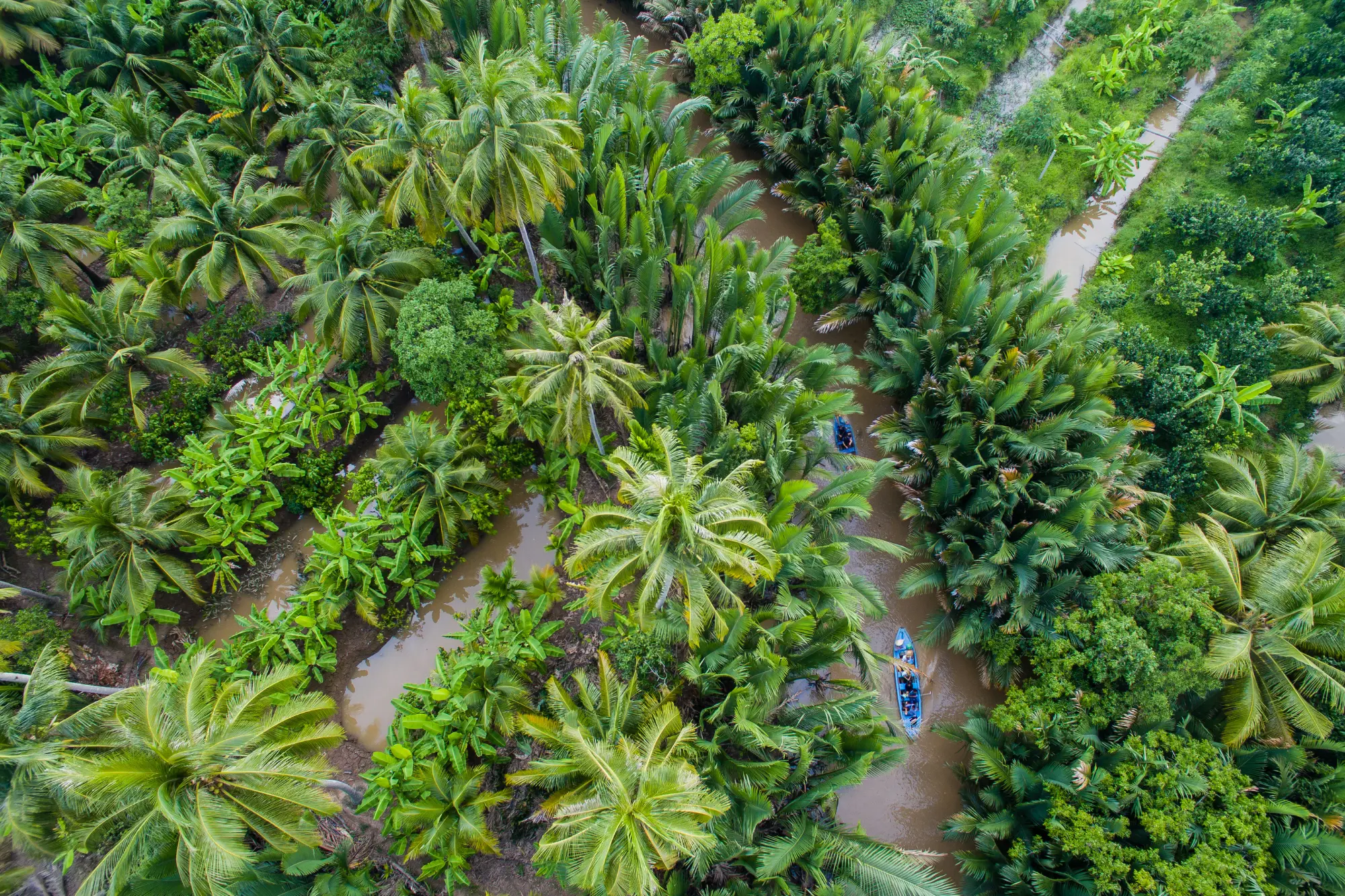 Ben Tre