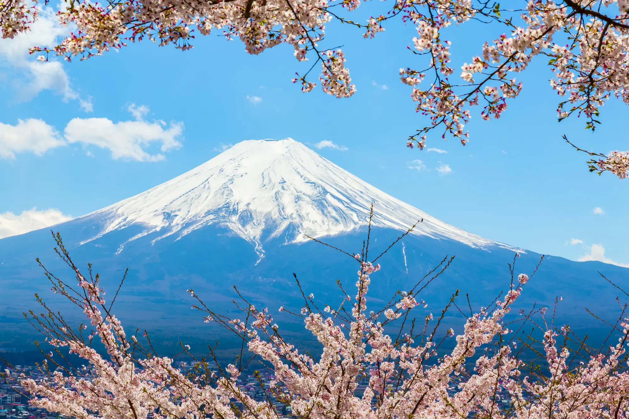 Mount Fuji