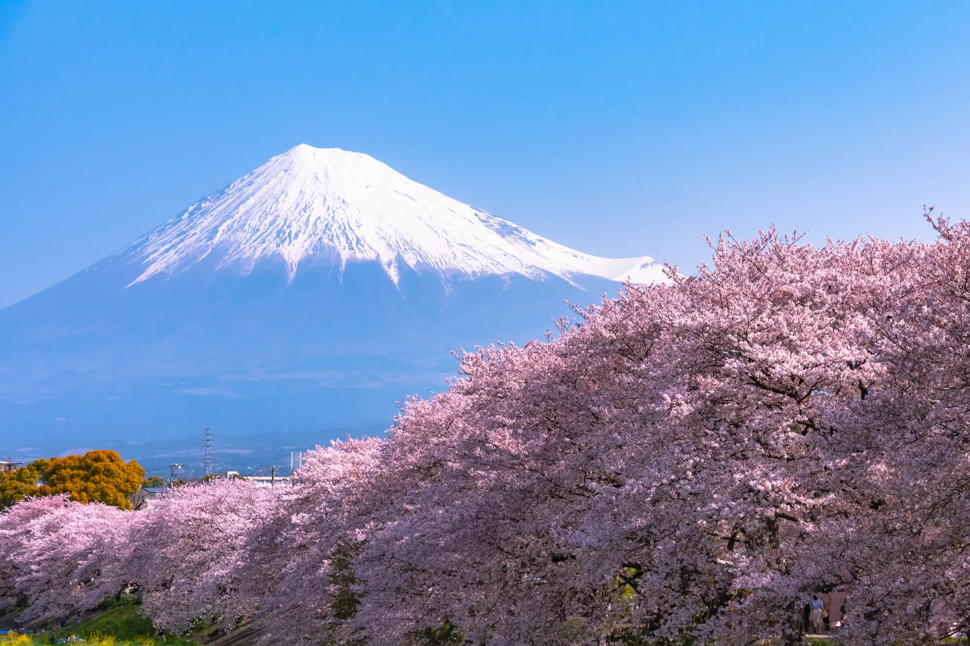 Fuji Heiwa Park