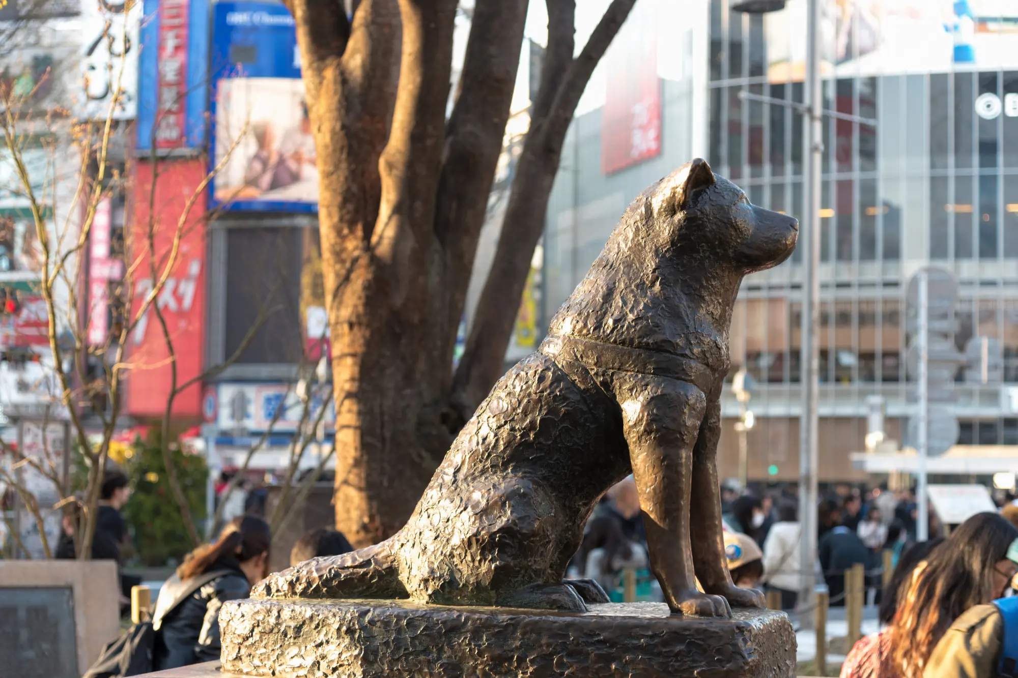 Hachiko dog statue