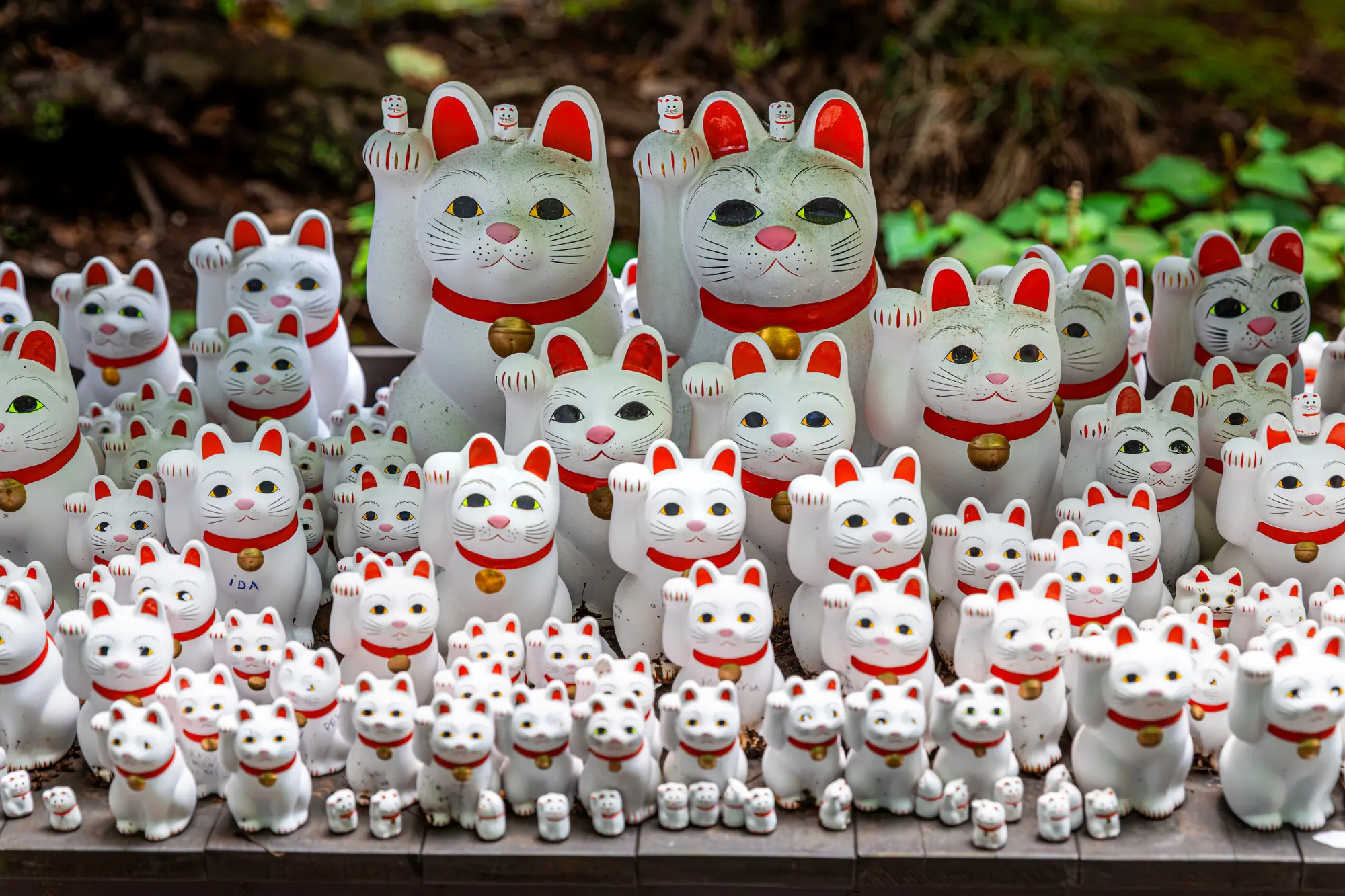 Maneki Neko Beckoning Cats
