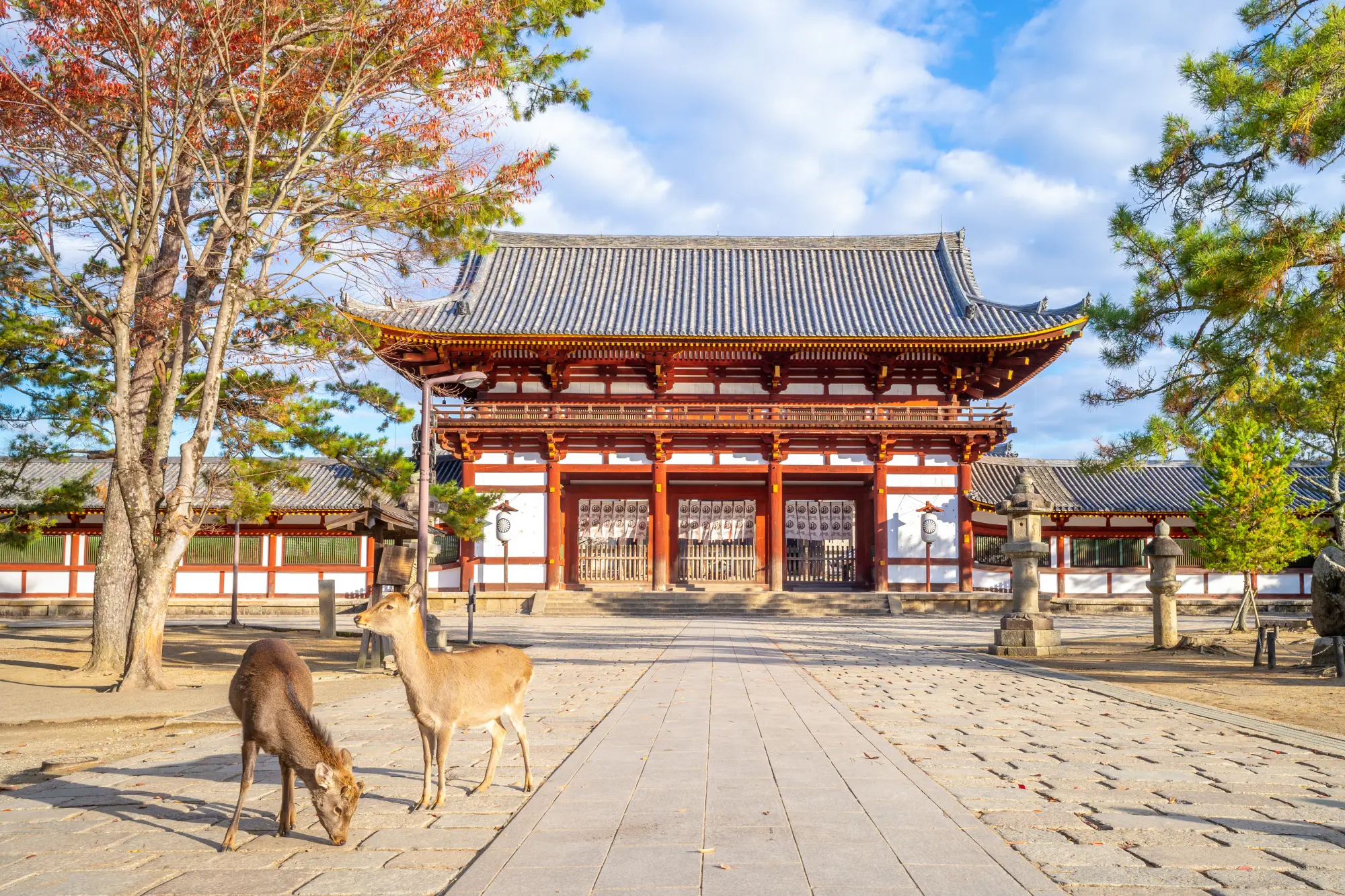 Nara Deer Park