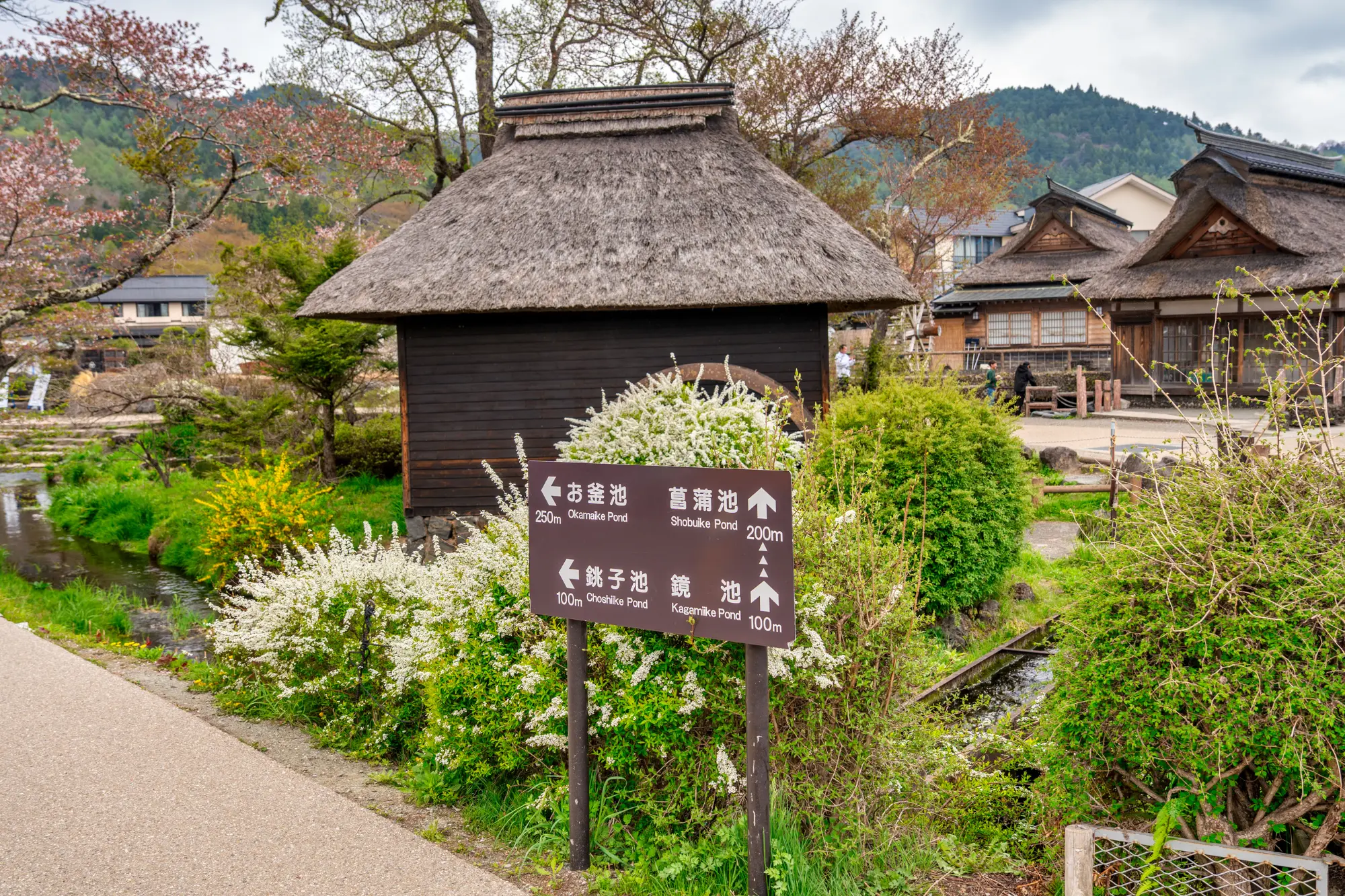 Oshino Hakkai