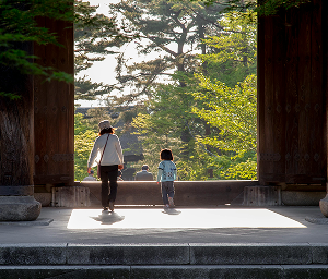 12 Day Relaxed Japan Tour for Seniors