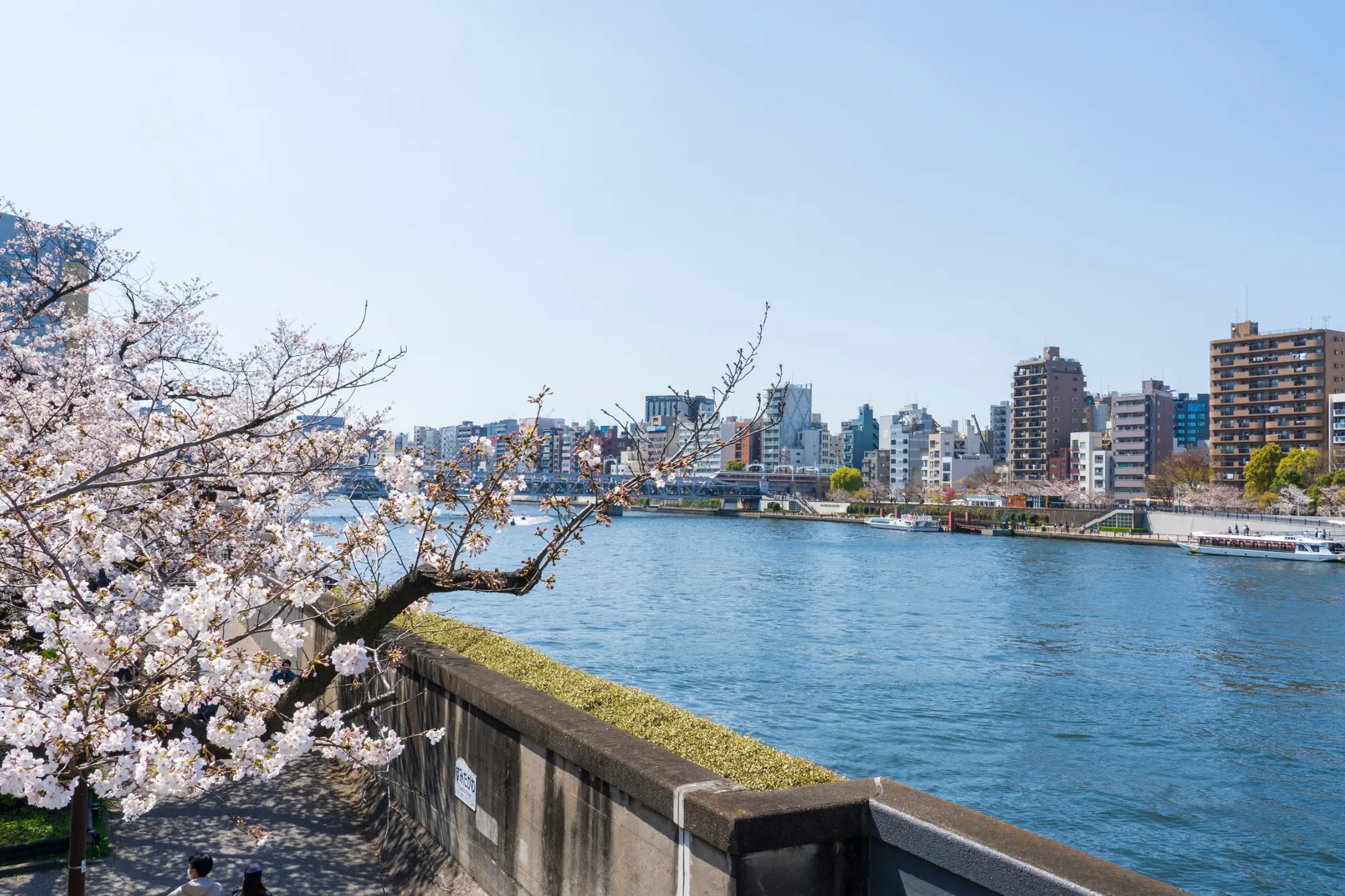 Sumida River
