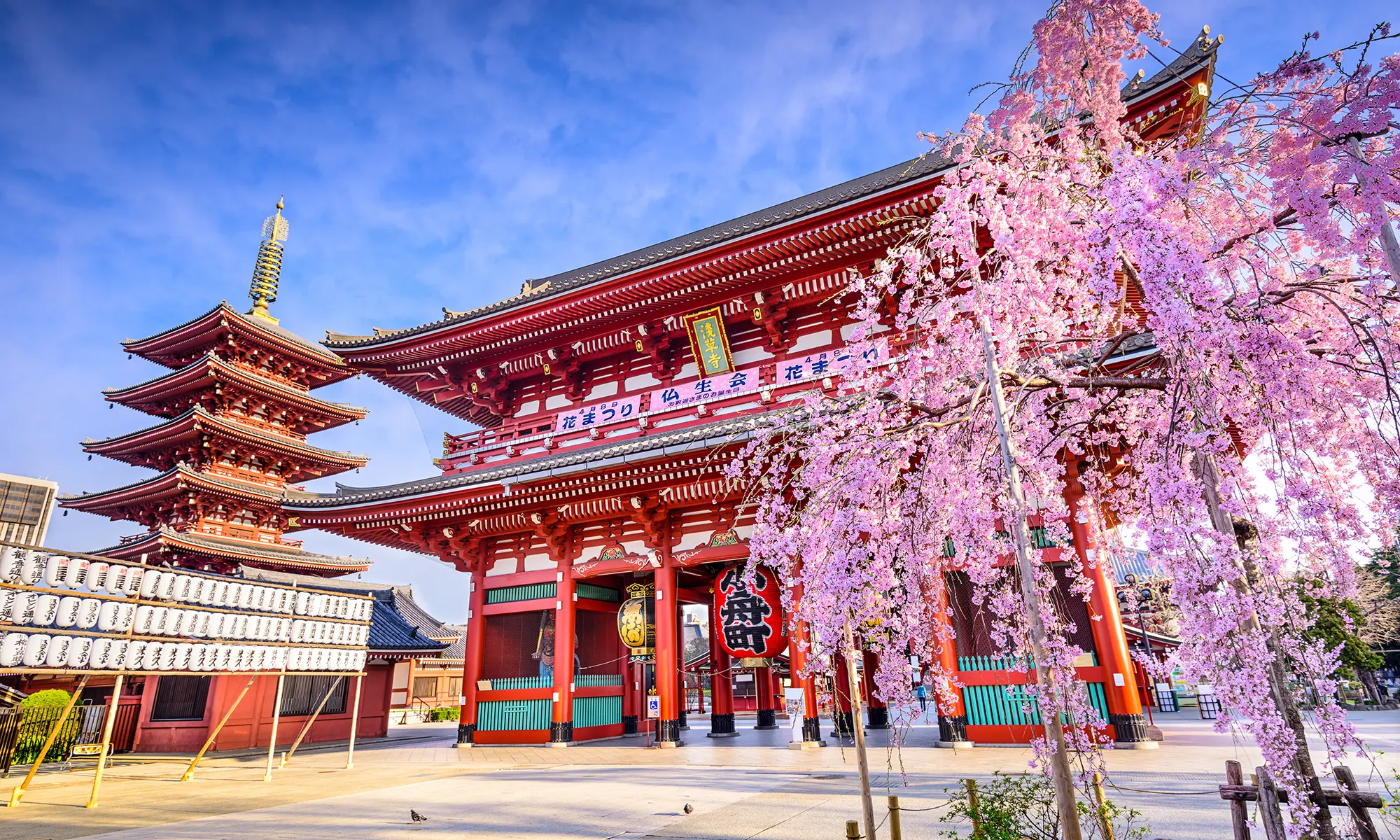 Japan Trip Planning Guide
