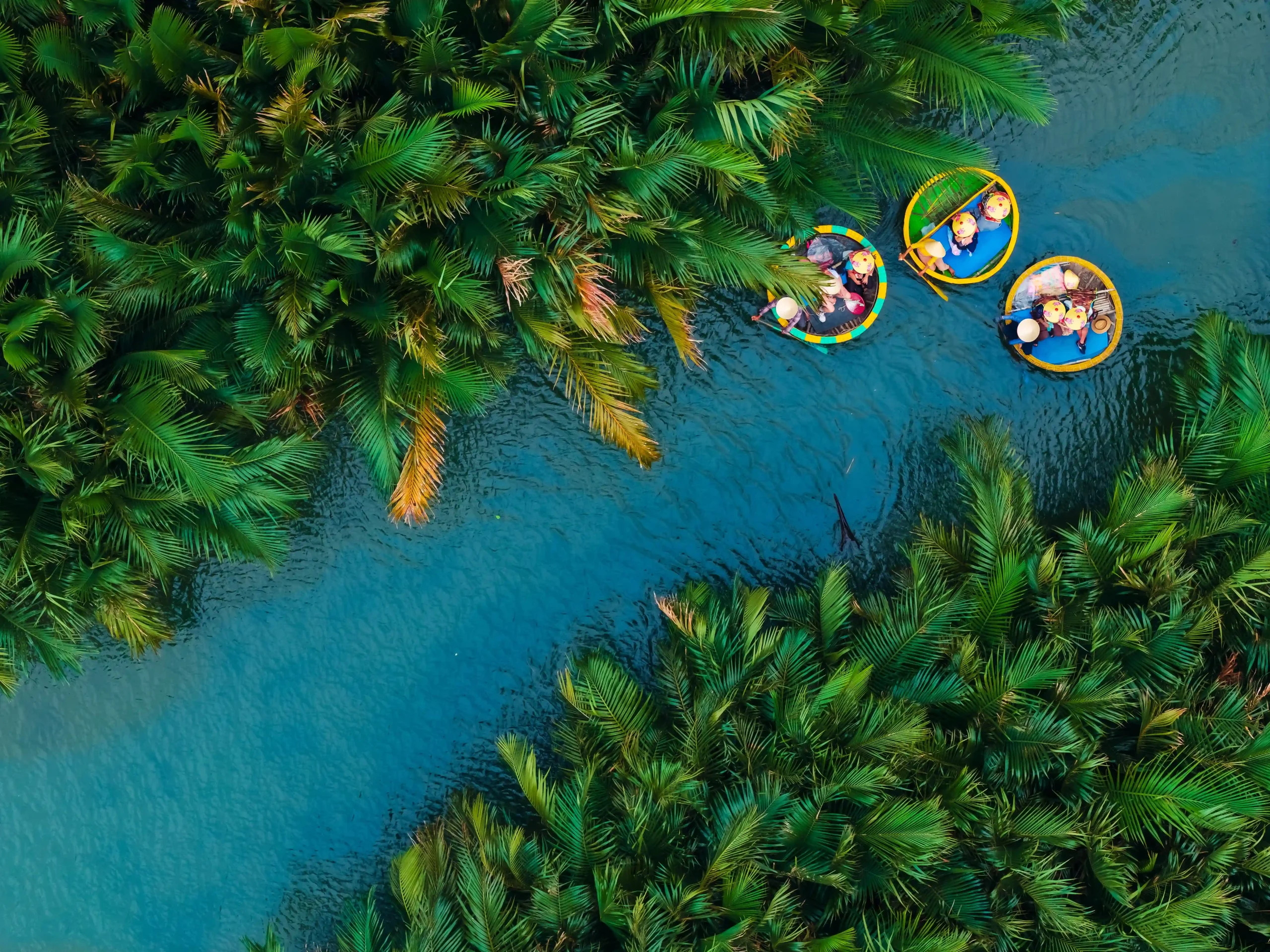 Cam Thanh Coconut Village