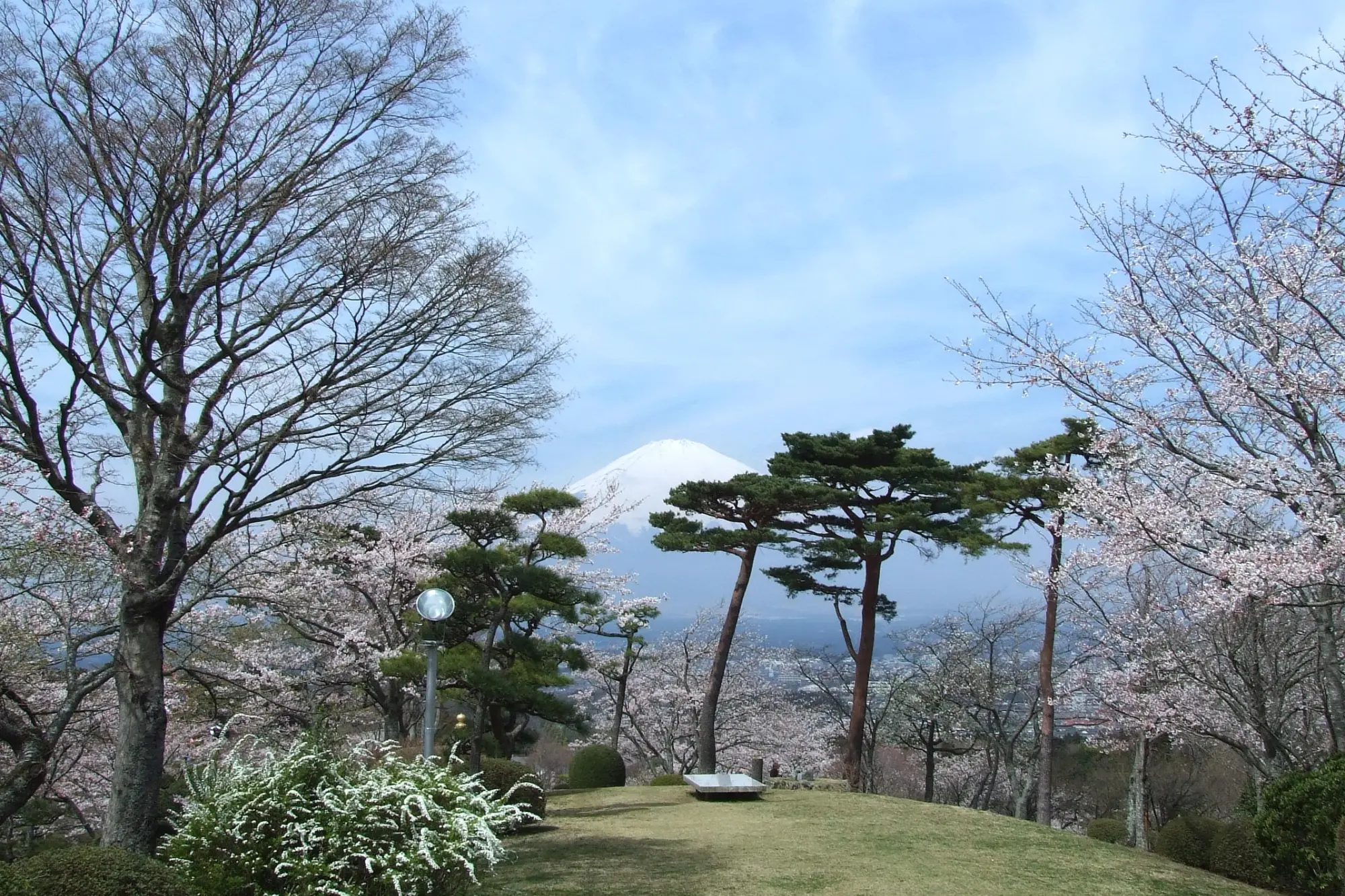 Fuji Heiwa Park
