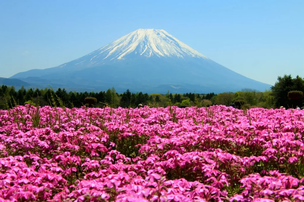 japan mt fj