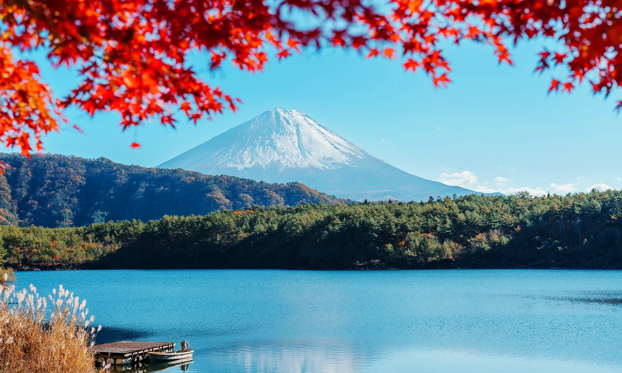 Iconic Mount Fuji in stunning autumn colors