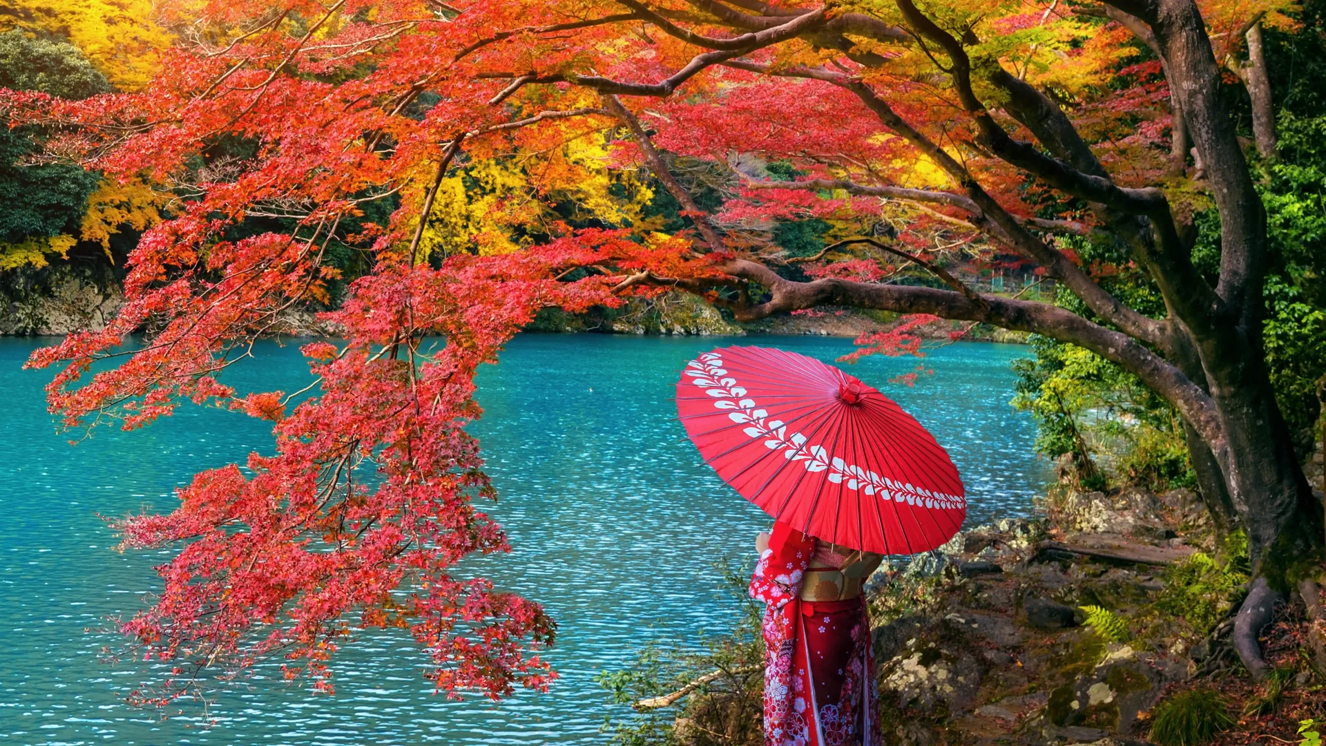Beautiful Autumn Leaves in Japan