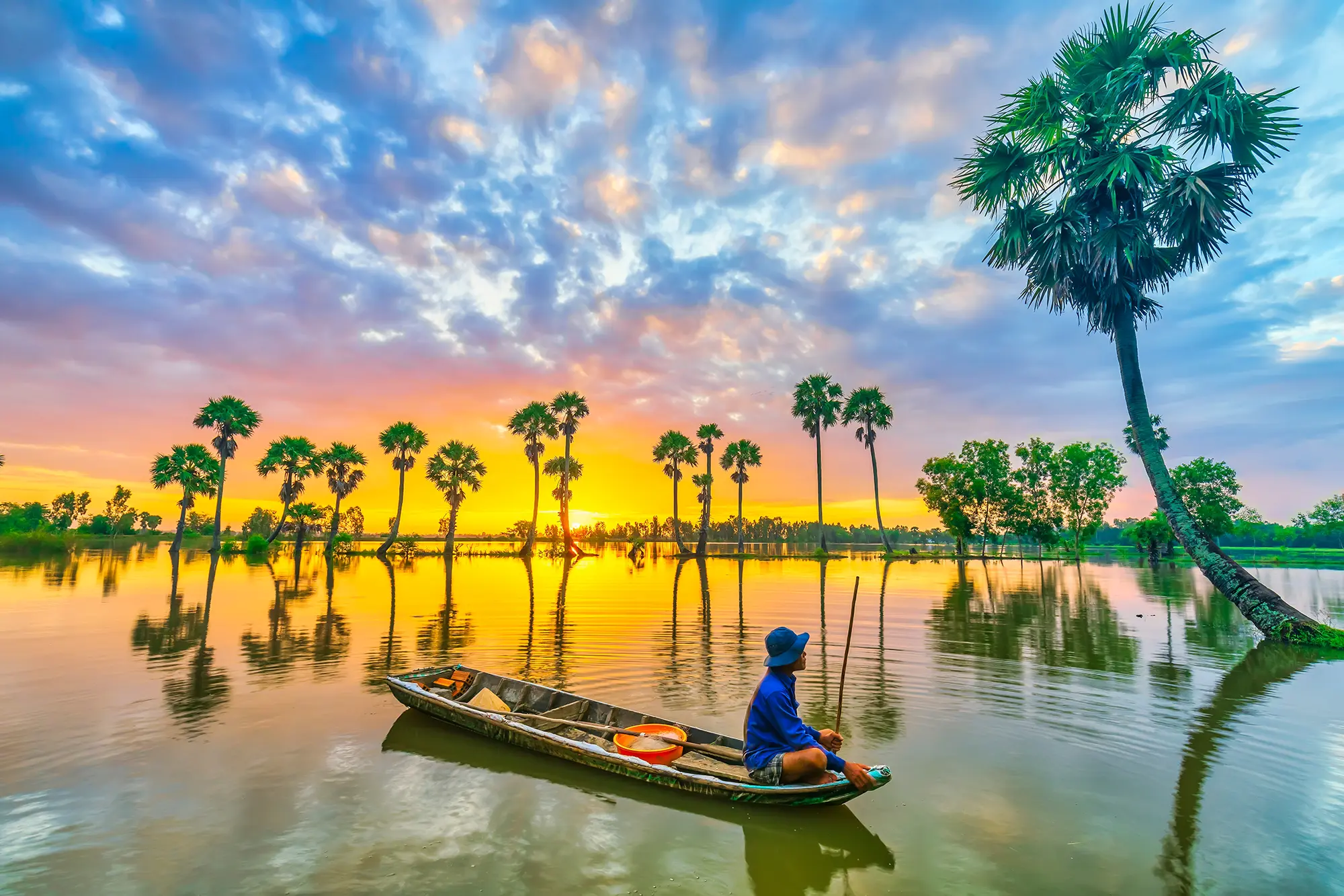 Vietnam Dental Mekong Delta