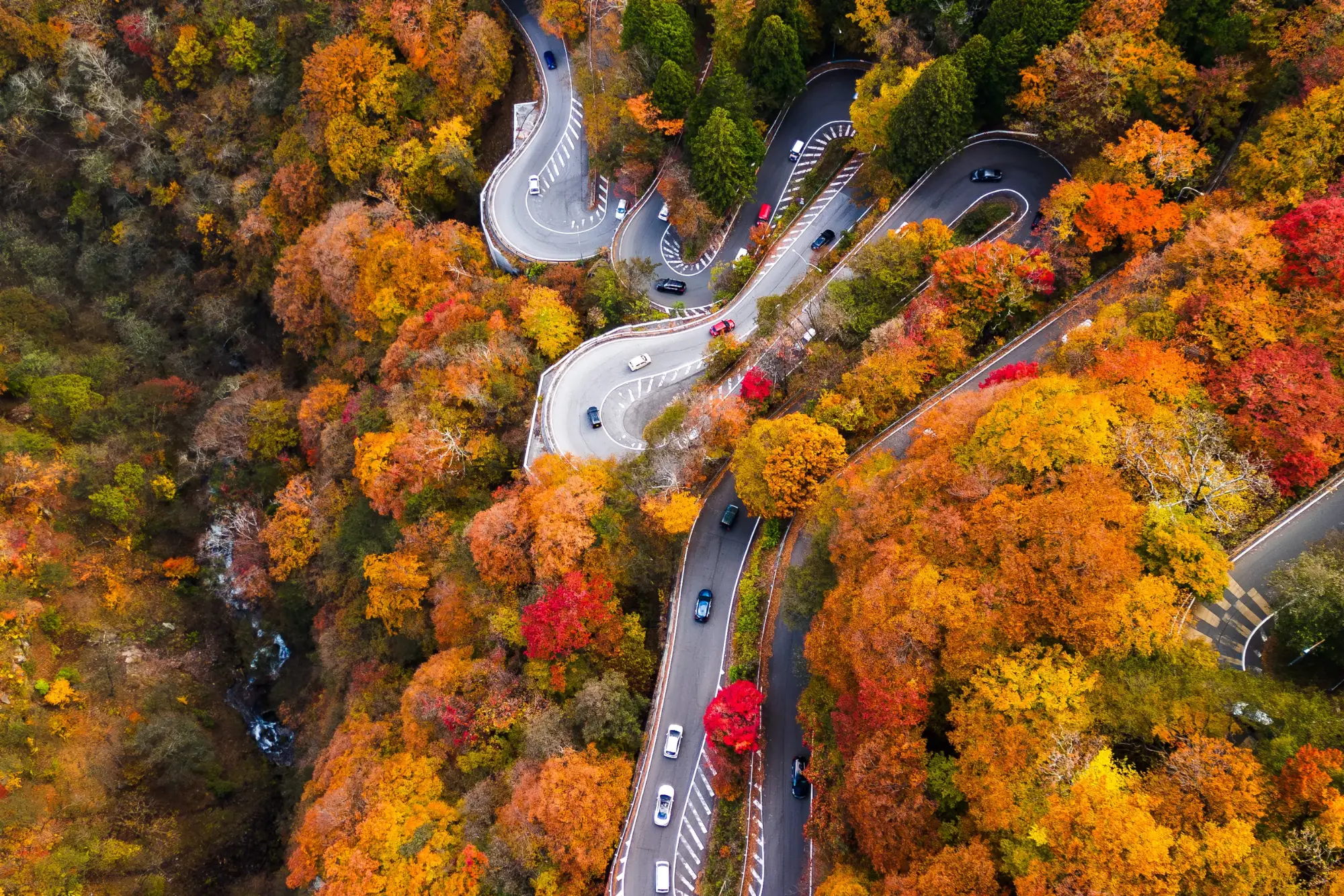A winding road through autumn foliage at its peak period - best time to visit Japan in Autumn 