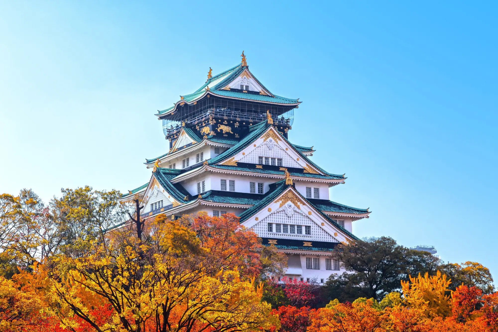 Japan Golden Route in Autumn itinerary