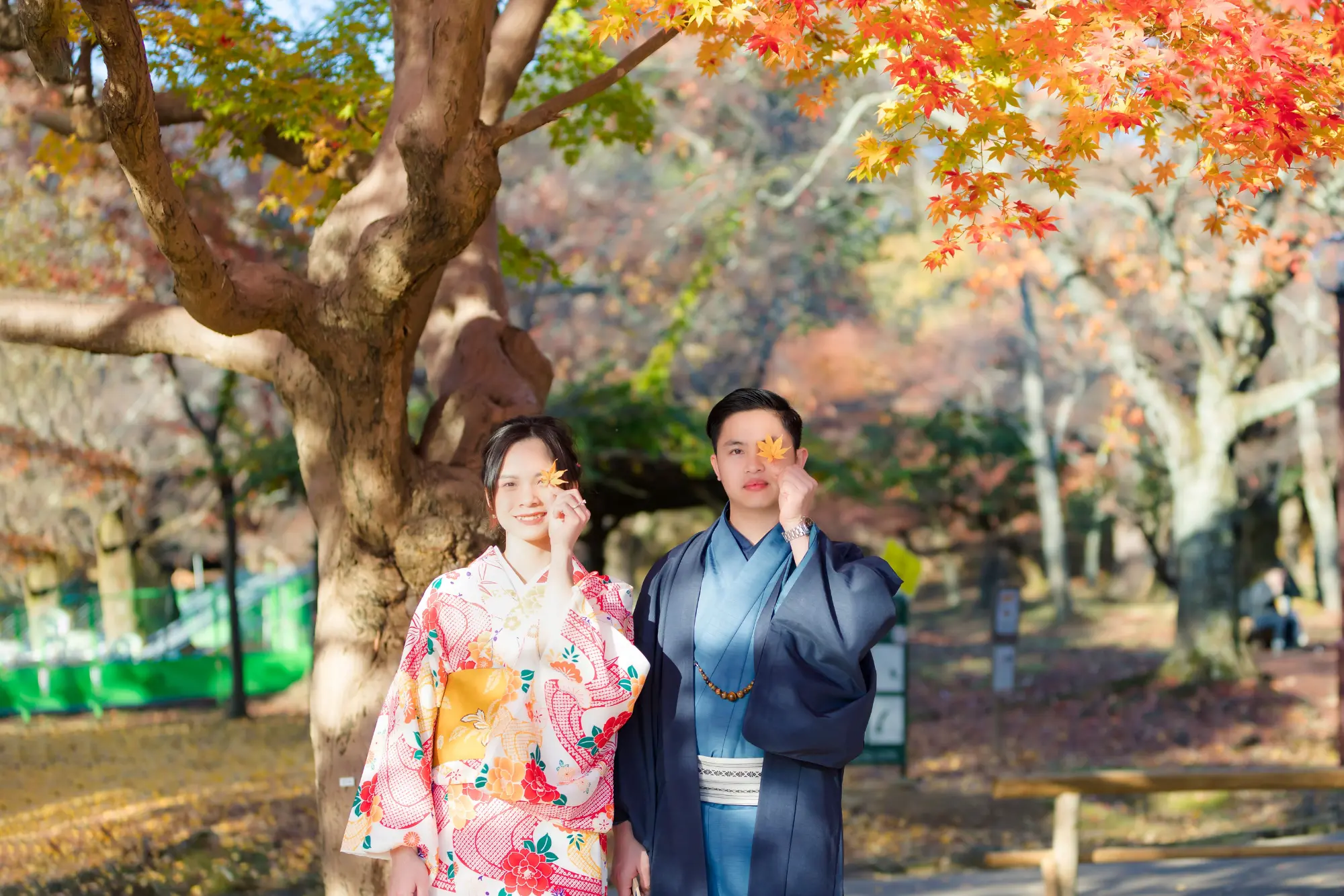 Japan autumn leaves with people