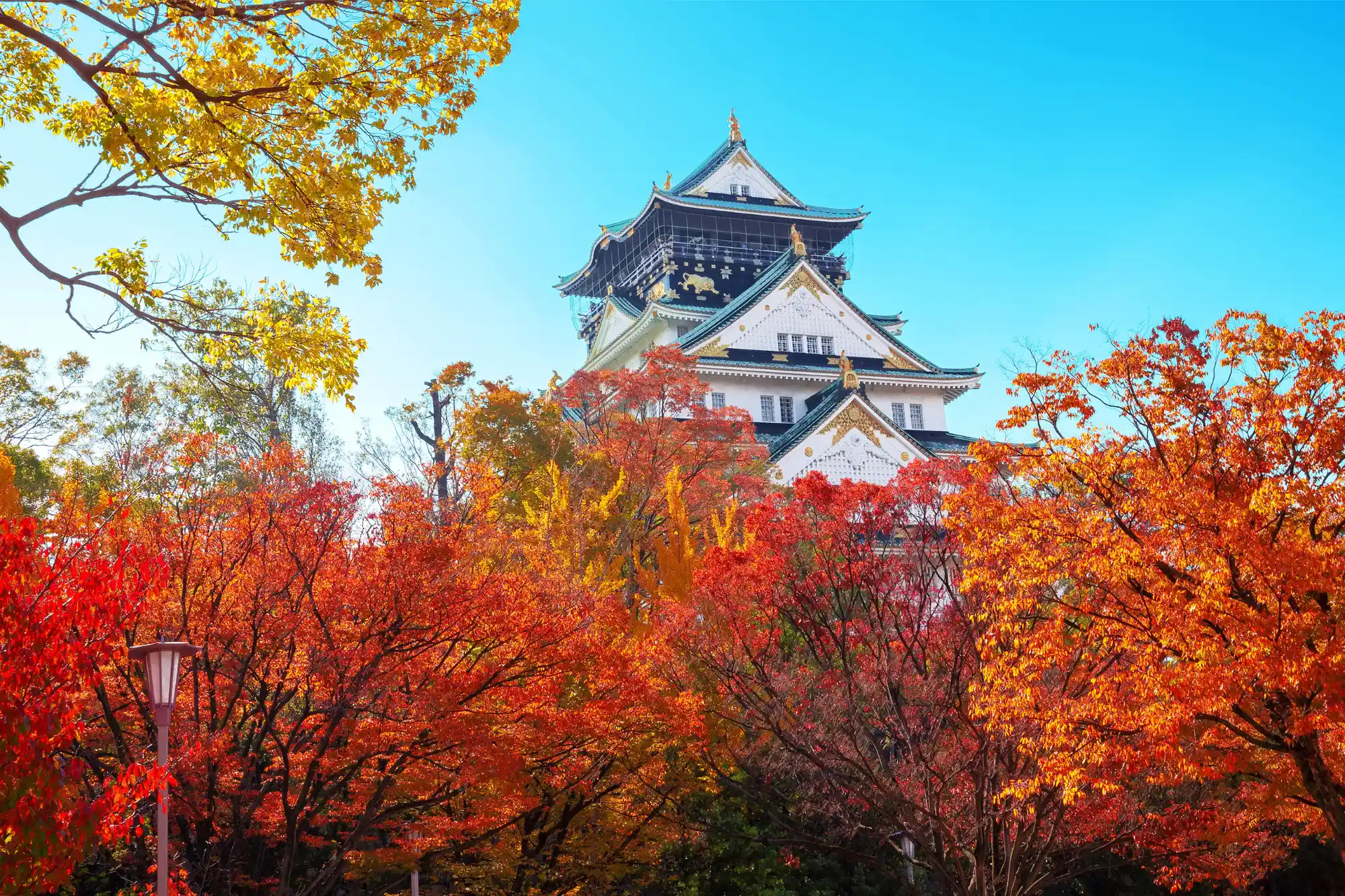 Osaka Castle