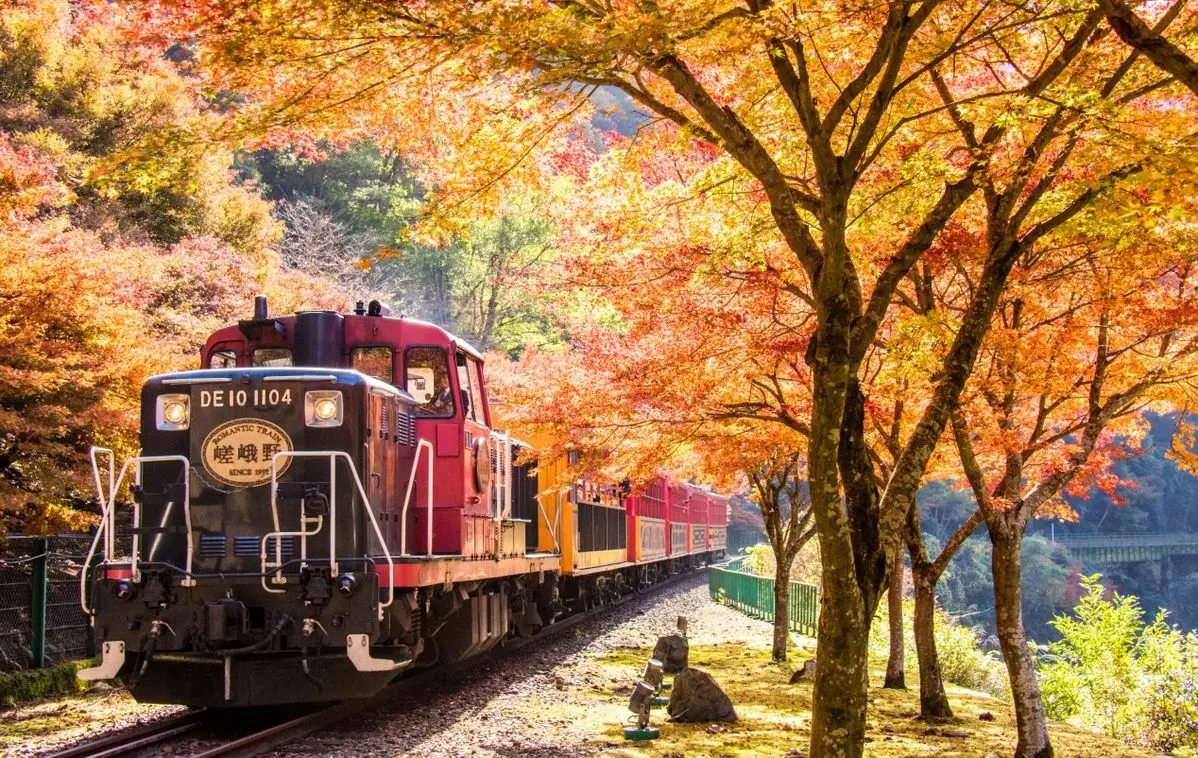 Scenic autumn views with the Sagano Romantic Train