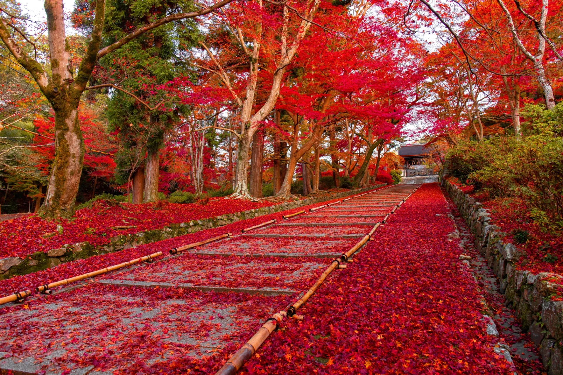 The red road in Hakone