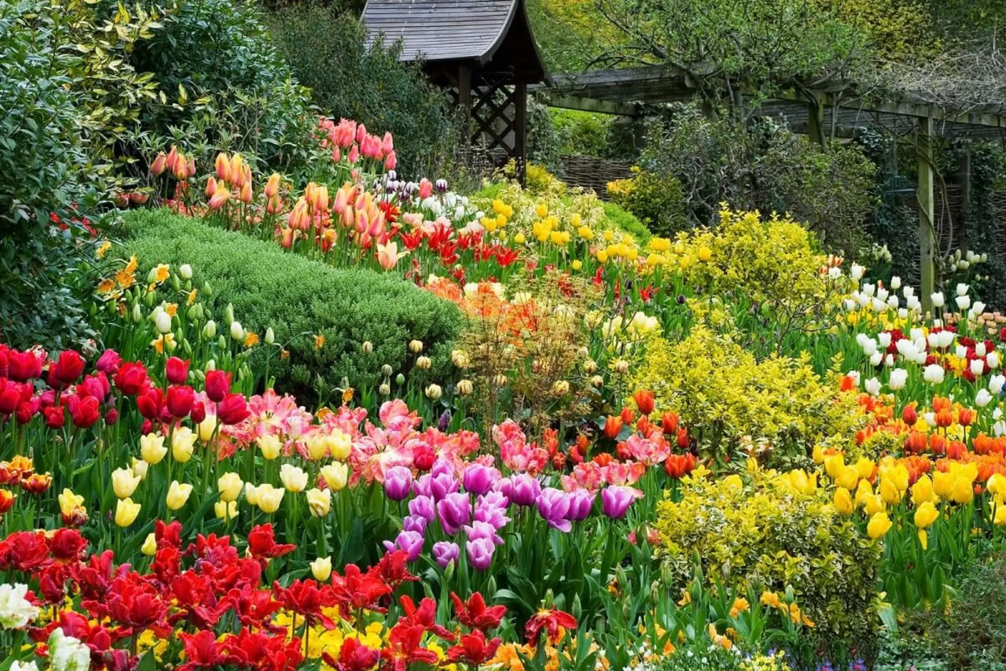 Da Lat Flower Garden