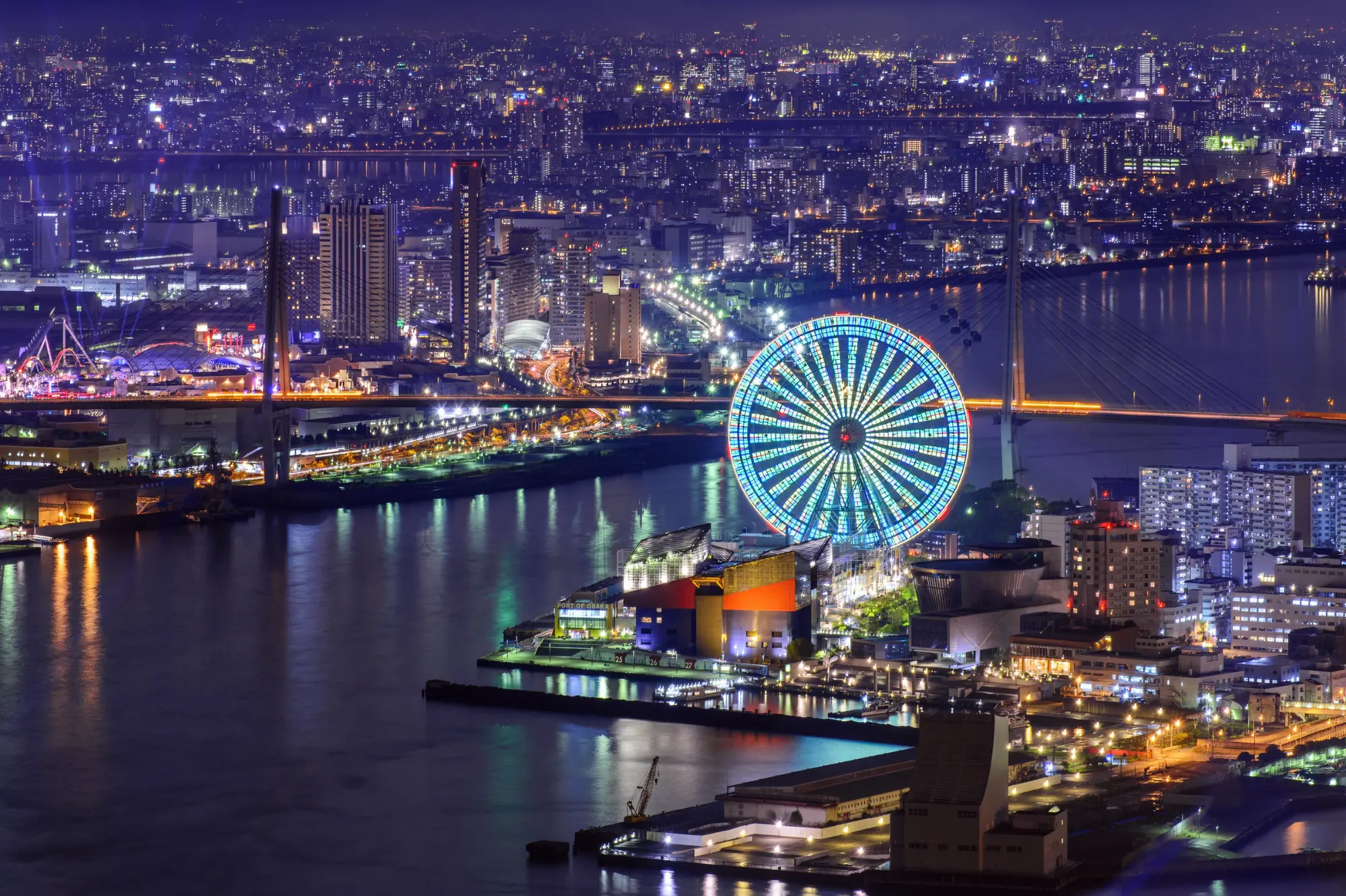 Osaka Panoramic View