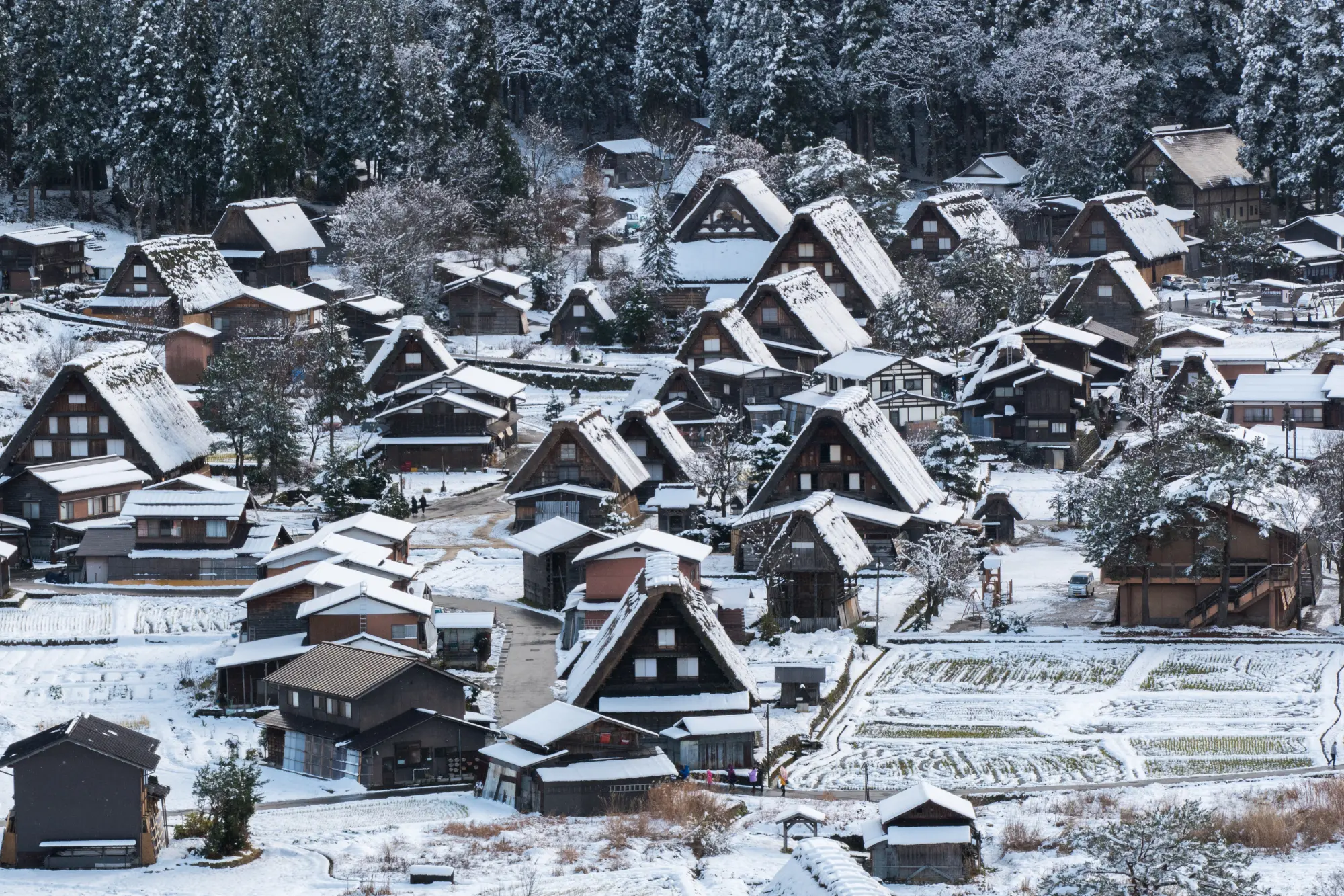 Shirakawa-go in Winter