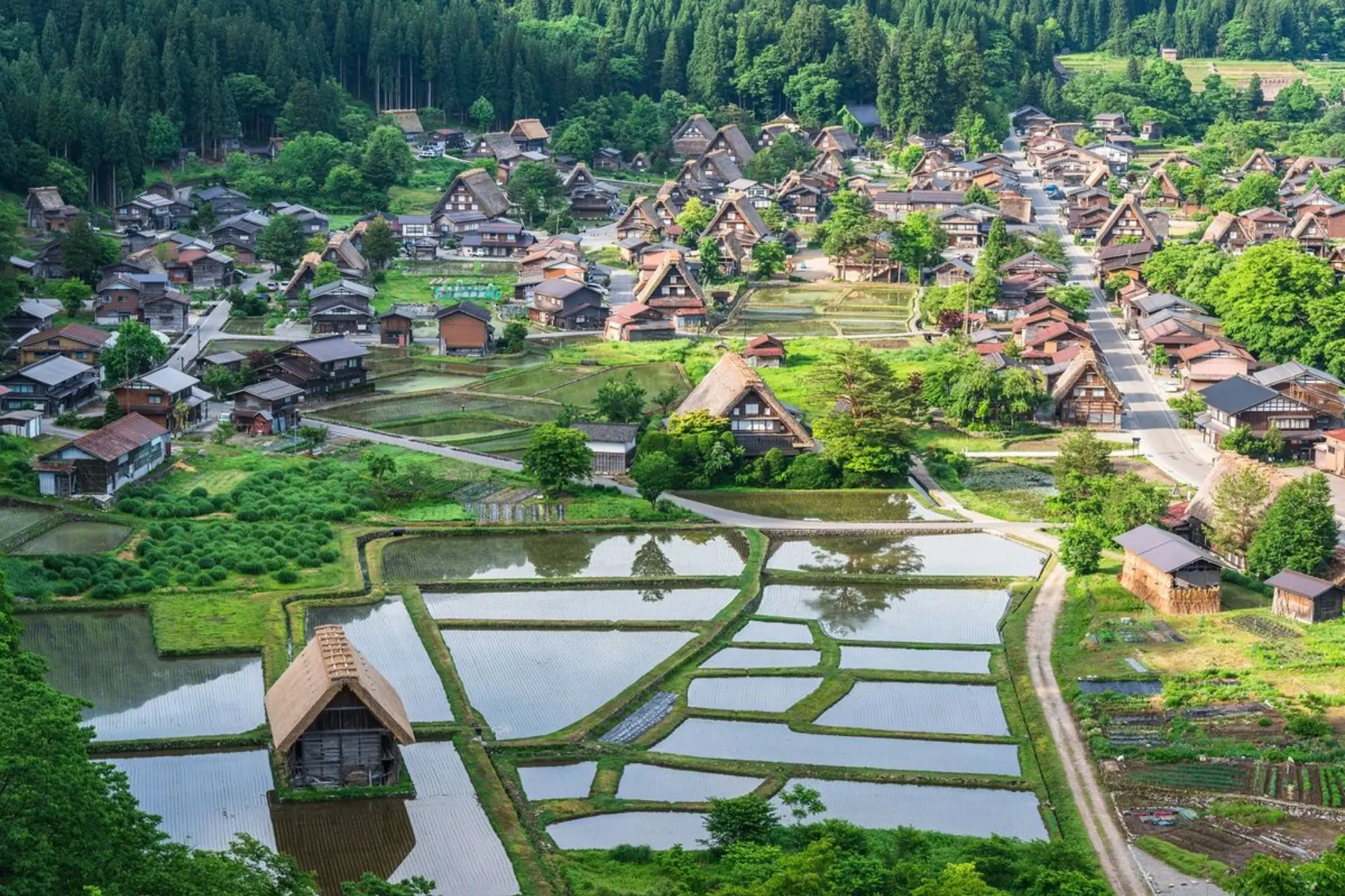 Ogimachi Village